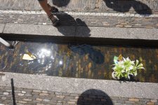 6.Baechleboot-Rennen
