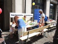 6.Baechleboot-Rennen