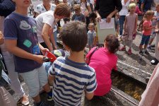 Bächleboot-Rennen 2018
