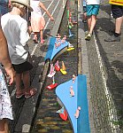 Bächleboot-Rennen 2019