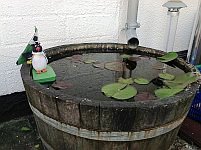Freiburger B?chleboot