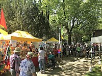 Heimattage Waldkirch 2018