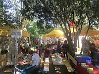 Heimattage Waldkirch 2018